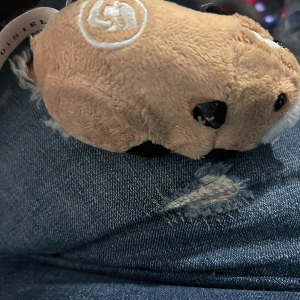 Kung Zhu Hamster